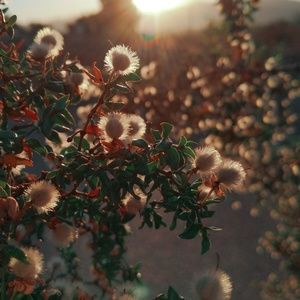 Meet your Posher, Riley